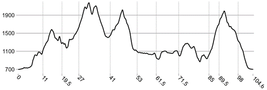 Minimal Trail Tattoo showing only an elevation profile and distance markers